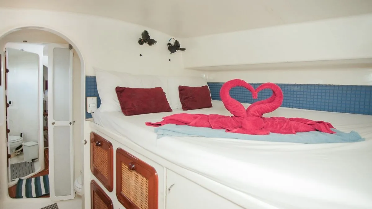 Mumby Sailing Catamaran 48ft photo 4