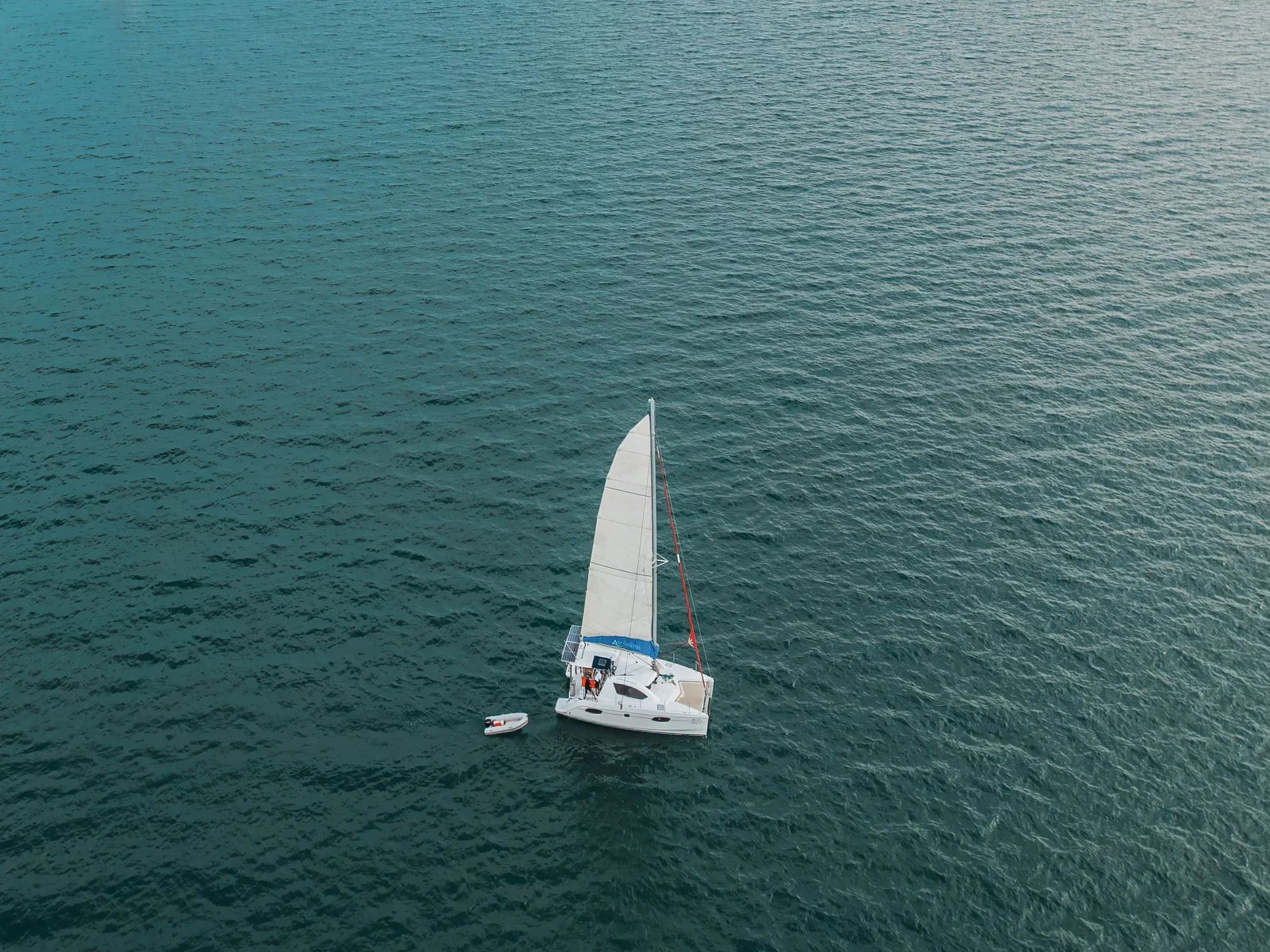 Real 2 Sailing catamaran 39ft exterior photo